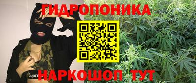 мдма Моздок