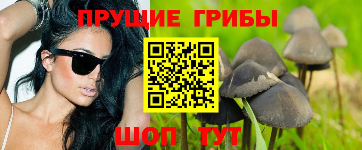 Удомля  Галлюциногенные грибы мицелий  Вход с VPN 